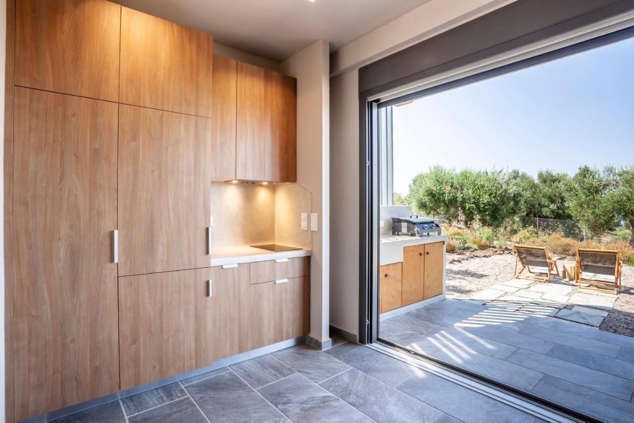 Alterra Vita Eco Villas Неос-Мармарас Экстерьер фото